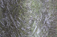 Wharton Green fibreglass roof work